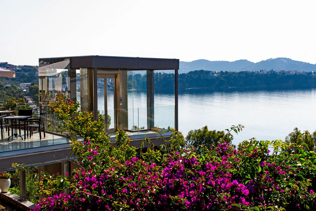 Flowers and the sea from the pergola