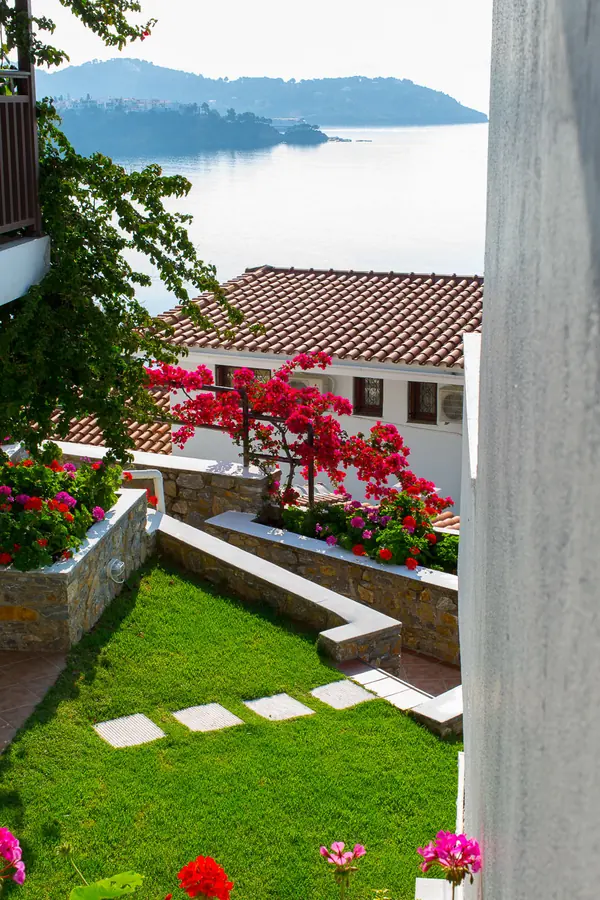Garden steps between the flowers