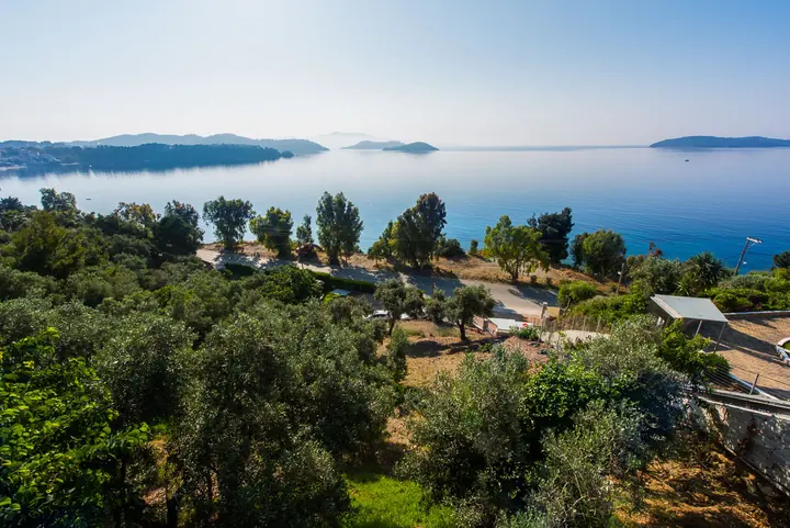 Olive trees and the islets across the bay